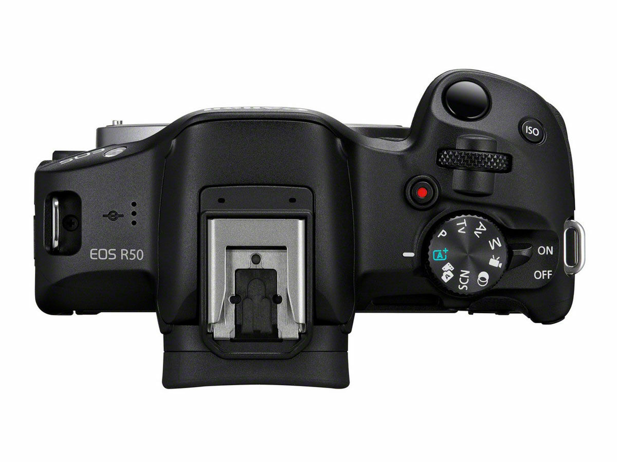 Canon EOS R50 + RF-S STM 18-45mm STM 55-210mm F5-7.1 Photo IS RF-S F4.5-6.3 IS + Scandinavian 